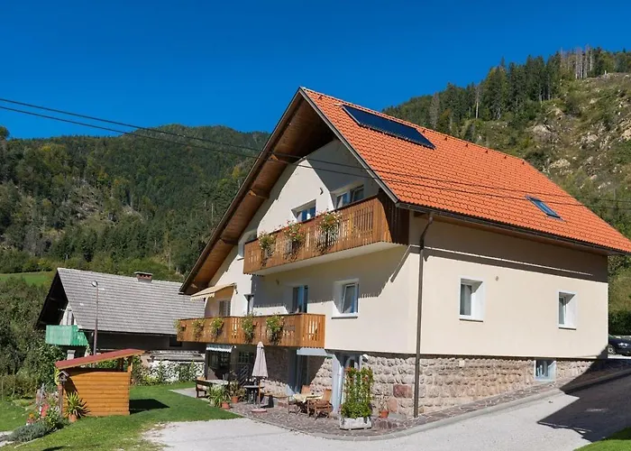 Ela - 1 * Kranjska Gora